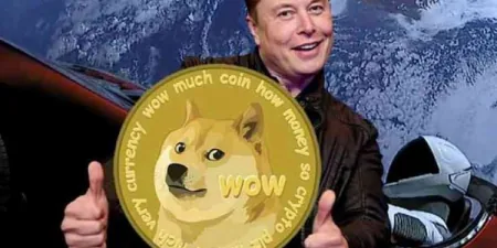 马斯克Twitter成狗狗币登顶关键?DOGE如何从迷因币晋身支付热门